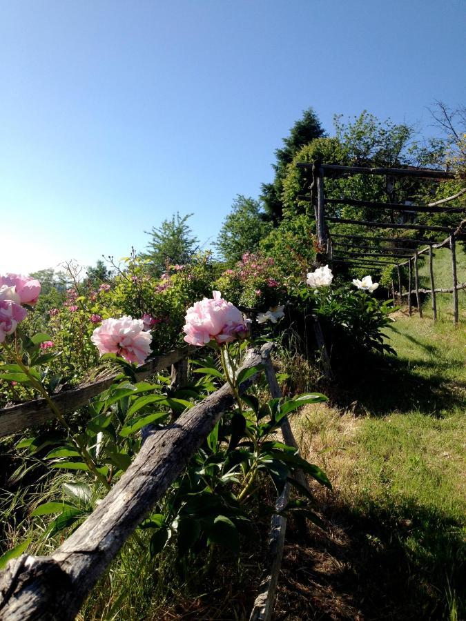 B&B Al Giardino Dei Mandorli Prasco Extérieur photo